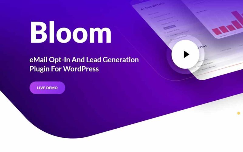 A plugin to connect Bloom with The Newsletter plugin on WordPress